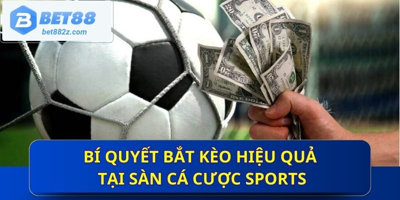 Bí quyết bắt kèo hiệu quả tại sàn cá cược sports