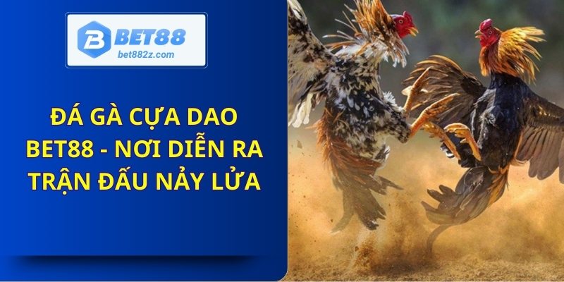 Đá Gà Cựa Dao Bet88