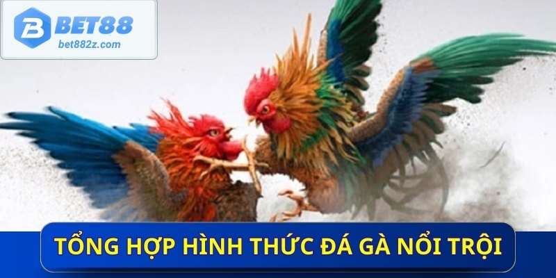 Tổng hợp các hình thức đá gà nổi trội