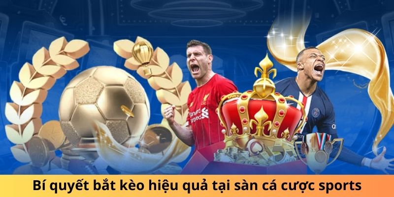 Bí quyết bắt kèo hiệu quả tại sàn cá cược sports